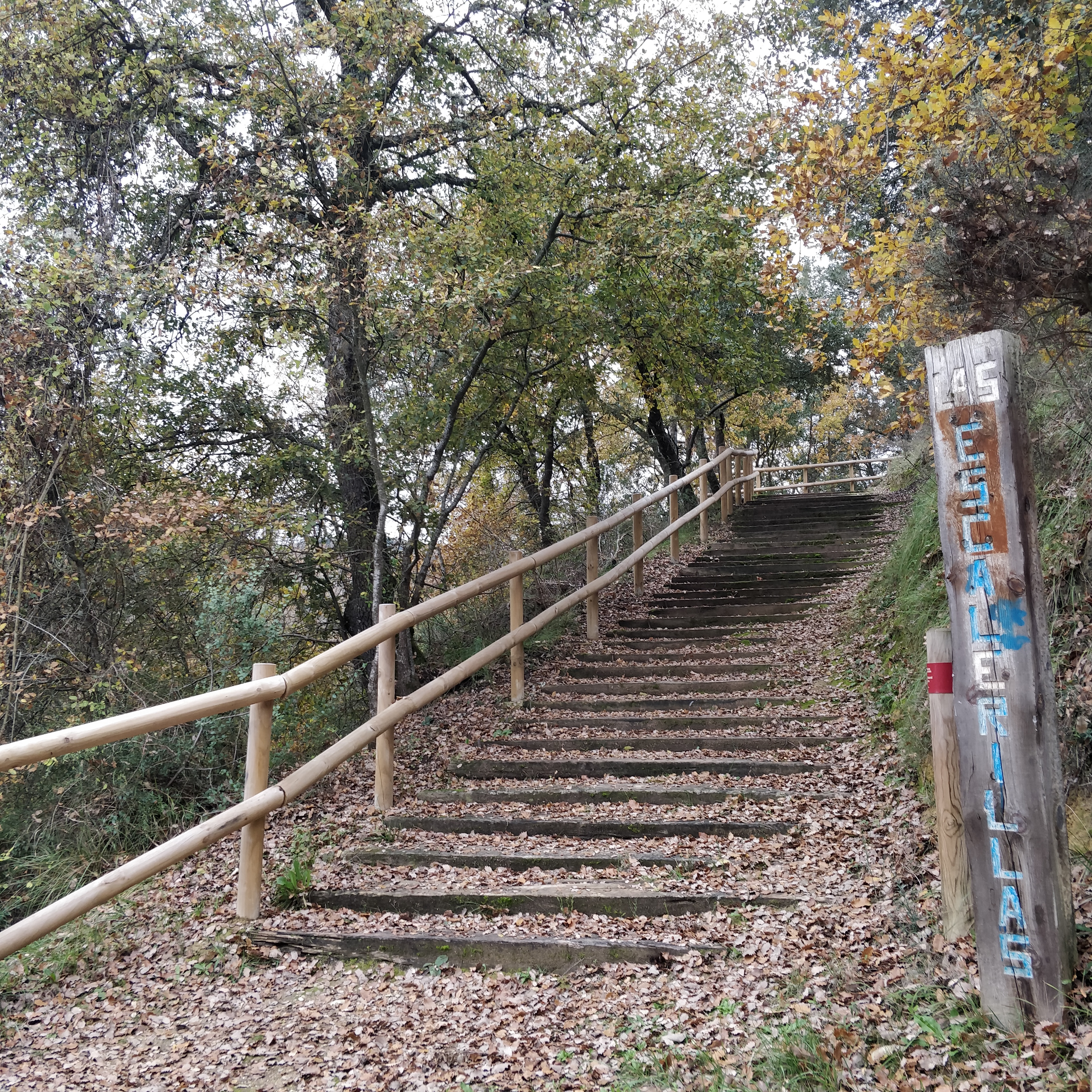 GR del Ebro en Montejo de San Miguel